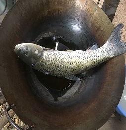 3燉魚(yú)2.JPG