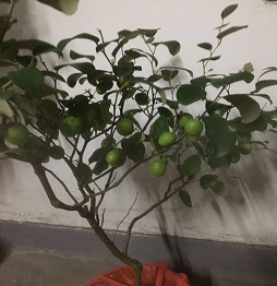 1521460976916536.jpg 微信圖片_20180314155350.jpg