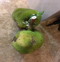 1521460996426081.jpg 微信圖片_20180314155454.jpg