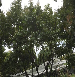 1521461071415571.jpg 微信圖片_20180319110706.jpg
