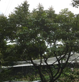 1521461088481356.jpg 微信圖片_20180319110711.jpg