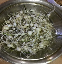 1521463171189308.jpg 蒜頭.jpg